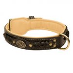 Bestseller! Royal Dog Collar Nappa Padded, Luxury Design for English Bulldog