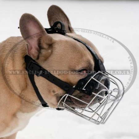 Bestseller! Wire Dog Muzzle for French Bulldog, Perfect for Daily Use