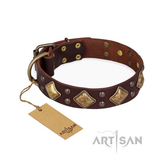 English Bulldog Collar "Golden Square" Brown Leather FDT Artisan - Click Image to Close