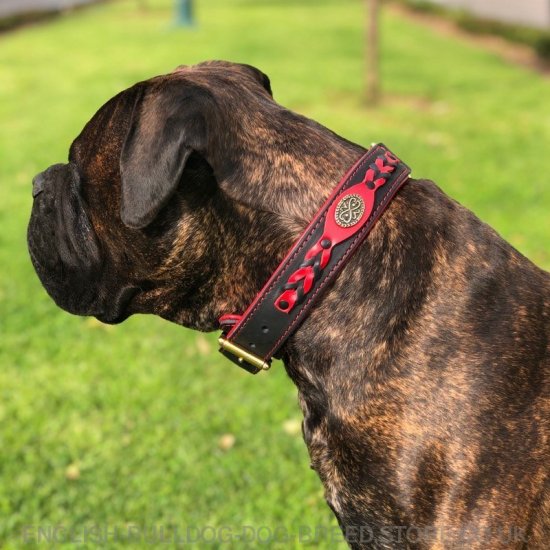 Bullmastiff Leather Collar "Heavy Fire" Nappa Padded