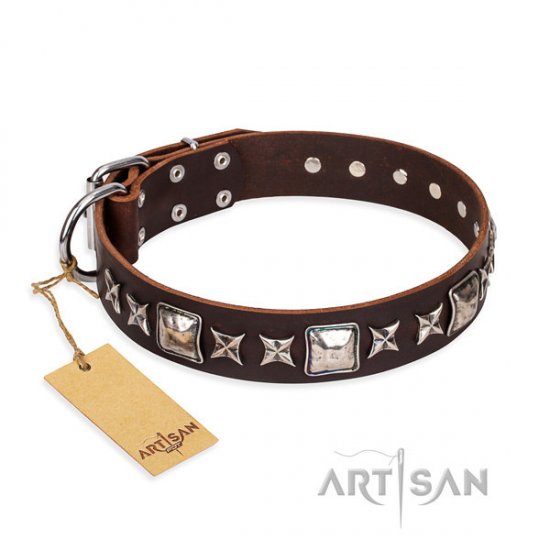 English Bulldog Collar Brown "Perfect Impression" FDT Artisan