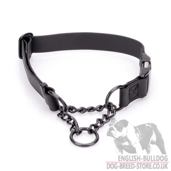 Biothane Martingale Dog Collar for Bulldog Obedience Training