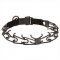 Dog Obedience Collar of Black Stainless Steel for Bulldogs