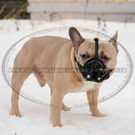 Light Genuine leather for French Bulldog Frenchie & Other similar snouts Black Leather, F1