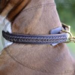 Boxer Leather Dog Collar of Double Strength with Elegant Braid