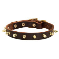 Bulldog Collar of Pure Leather with Row of Goldish Brass Spikes