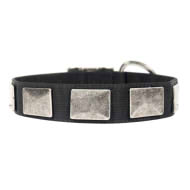 Gorgeous Nylon Collar with Old-Like Nickel Plates for Bulldog