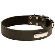 English Bulldog Leather Collar with Identification Name Plate
