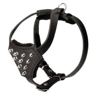 Walking Dog Harness with Spikes for French Bulldog