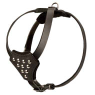 Studded Leather Dog Harness for French Bulldog Walking