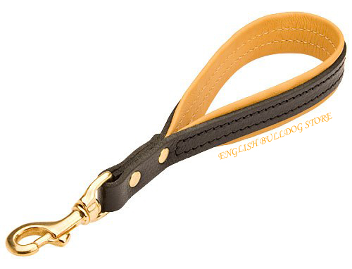 Short Strong Dog Leads