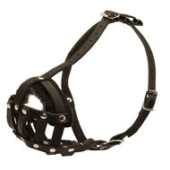 Leather Dog Muzzle Soft Felt Padded for French Bulldog Leather Dog Muzzle Soft Felt Padded for French Bulldog