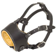 Soft Dog
Muzzle Nappa Padded for English and American Bulldog