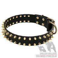 New Dog Collar for English Bulldog, Two Rows of Brass Spikes