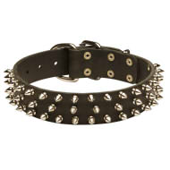 Three Rows Glossy Spiked Leather Dog Collar for English Bulldogs