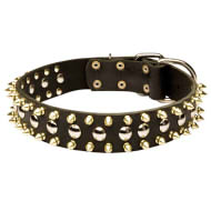 Leather Dog Collar with Golden Spikes Round Studs for Bulldog