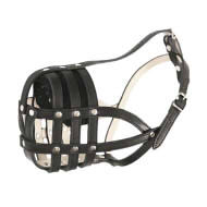 Bulldog Muzzle for Sale