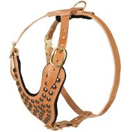 Posh Dog Harness Tan Leather and Brass Spikes for Easy Walking
