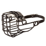 Basket Muzzle for English Bulldog