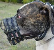 Leather Dog Muzzle for American Bulldog, Mesh Design