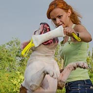 American Bulldog Training Bite Tug of French Linen with Handles American Bulldog Training Bite Tug of French Linen with Handles