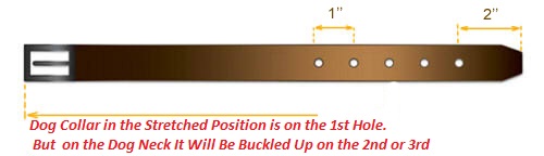 Collar Size for Bullmastiff