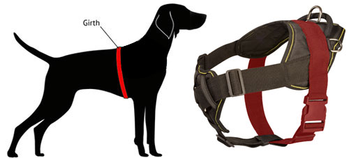 Harness Size for Bulldog