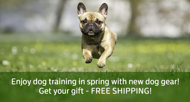 Free Shipping