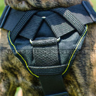 Best Boxer Dog Harness of Durable Nylon for Multifunctional Use