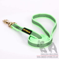 Best Bulldog Leash of Green Nylon with Nonslip Rubber Threads