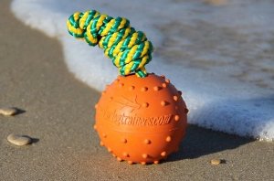 Best Dog Toys for English Bulldogs