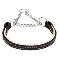 English Bulldog Collar UK