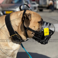 Best Muzzle for Bullmastiff with Sensitive Skin, Made of Natural Leather