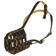 Boston Terrier Dog Muzzle of Nappa Padded Leather, Royal Boston Terrier Dog Muzzle of Nappa Padded Leather, Royal