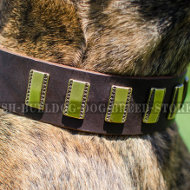 Boxer Dog Leather Collar with Vertical Brass Plates for Walking