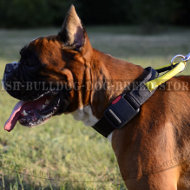 Boxer Dog Training Collar with Handle and Quick-Release Buckle