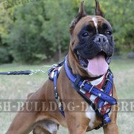 Boxer Leather Dog Harness Hand-Painted American Pride Design