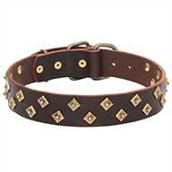 "Golden Pyramids" Attractive Dog Collar for English Bulldog