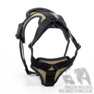 British Bulldog Harness of Khaki Colour for Daily Use