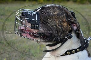 Bulldog Basket Muzzle