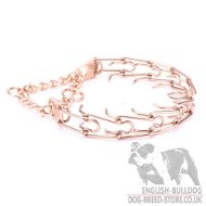 Bulldog Collar of Hypoallergic Curogan to Stop Behavior Problems