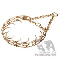 Bulldog Collar Pinch of Curogan, Antiallergic and Strong Alloy