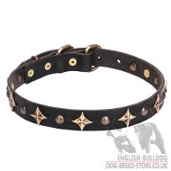 "Galaxy" English Bulldog Leather Dog Collar Bronze-Like Stars