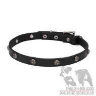 "Florets" Studded English Bulldog Necklace Leather Dog Collar