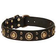 English Bulldog Harness Studded - £81.50