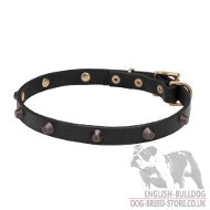 "Catching Style" Dog Collar with Brass Cones for Bulldog