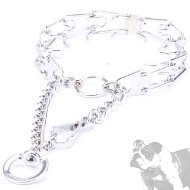 Bulldog Collar with Prongs for Behavior Training, Chrome-Plated