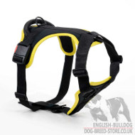 Bulldog Dog Harness of Nylon, Comfy and Safe