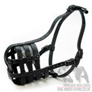 Bestseller! Bulldog Muzzle with Supreme Ventilation of Genuine Leather