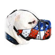 American Bulldog Muzzle with American Flag Hand Painting